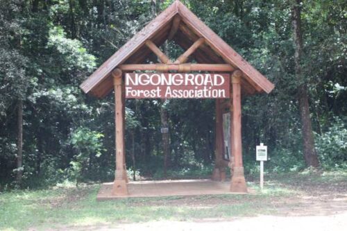 Ngong Road Forest Sanctuary
